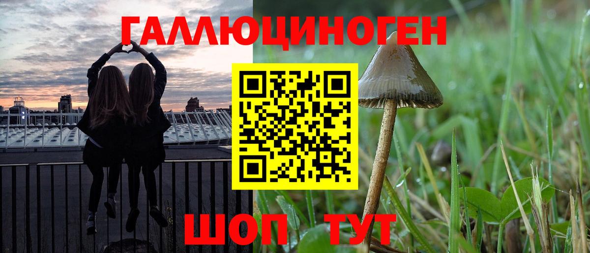 даркнет сайт  Псилоцибиновые грибы Psilocybe  Вход с VPN  Псилоцибиновые грибы GOLDEN TEACHER  Ставрополь 