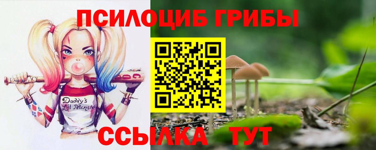 Ставрополь  ГАШ  Вейп ТГК  КОКАИН  ГАШИШ  Вход с VPN  Лсд 25  МАРИХУАНА  Меф МЯУ МЯУ кристаллы 