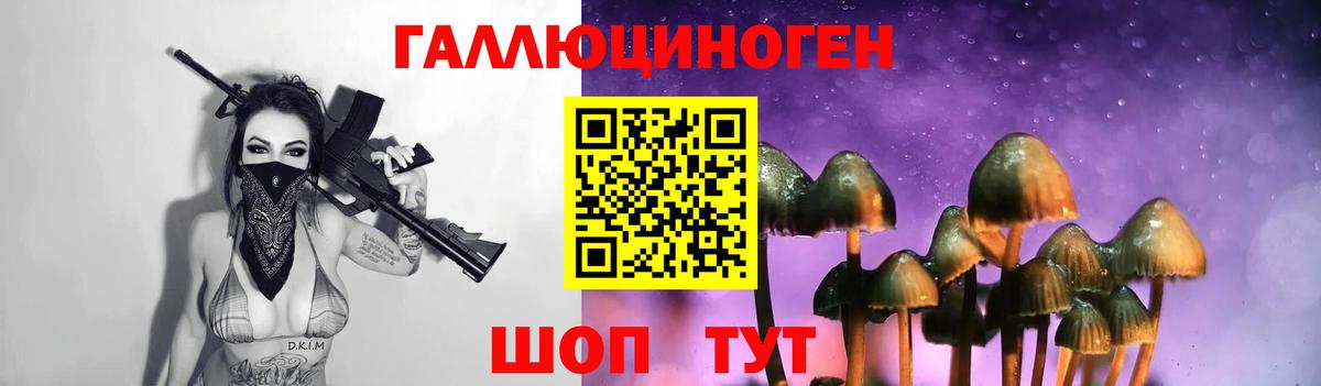 Псилоцибиновые грибы MAGIC MUSHROOMS Ставрополь