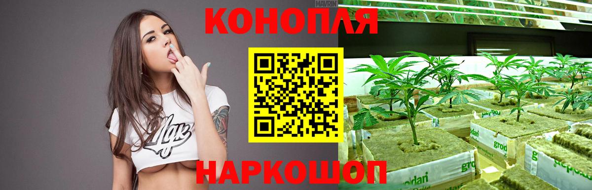 Канабис SATIVA & INDICA  Шишки марихуана SATIVA & INDICA  Конопля семена  Вход с VPN  Ставрополь 